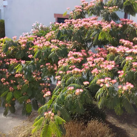 Daire Benoit - 25m, 4 Personnes, Balcon La Baule