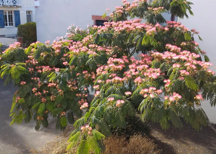 Apartment Benoit - 25m, 4 Personnes, Balcon La Baule-Escoublac